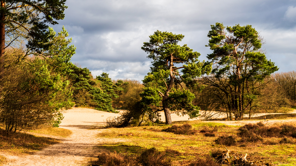 Landscape near Amersfoort, Netherlands
