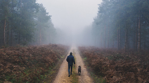Man walking his dog in misty forest