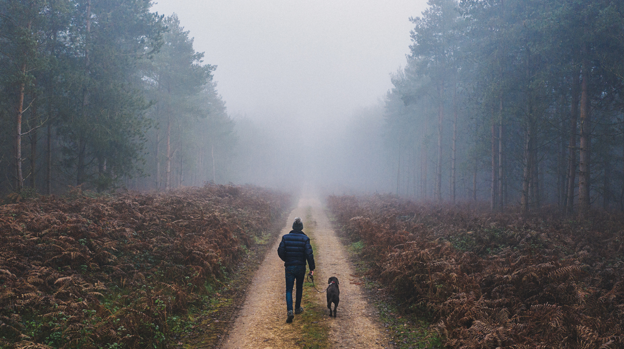 Man walking his dog in misty forest