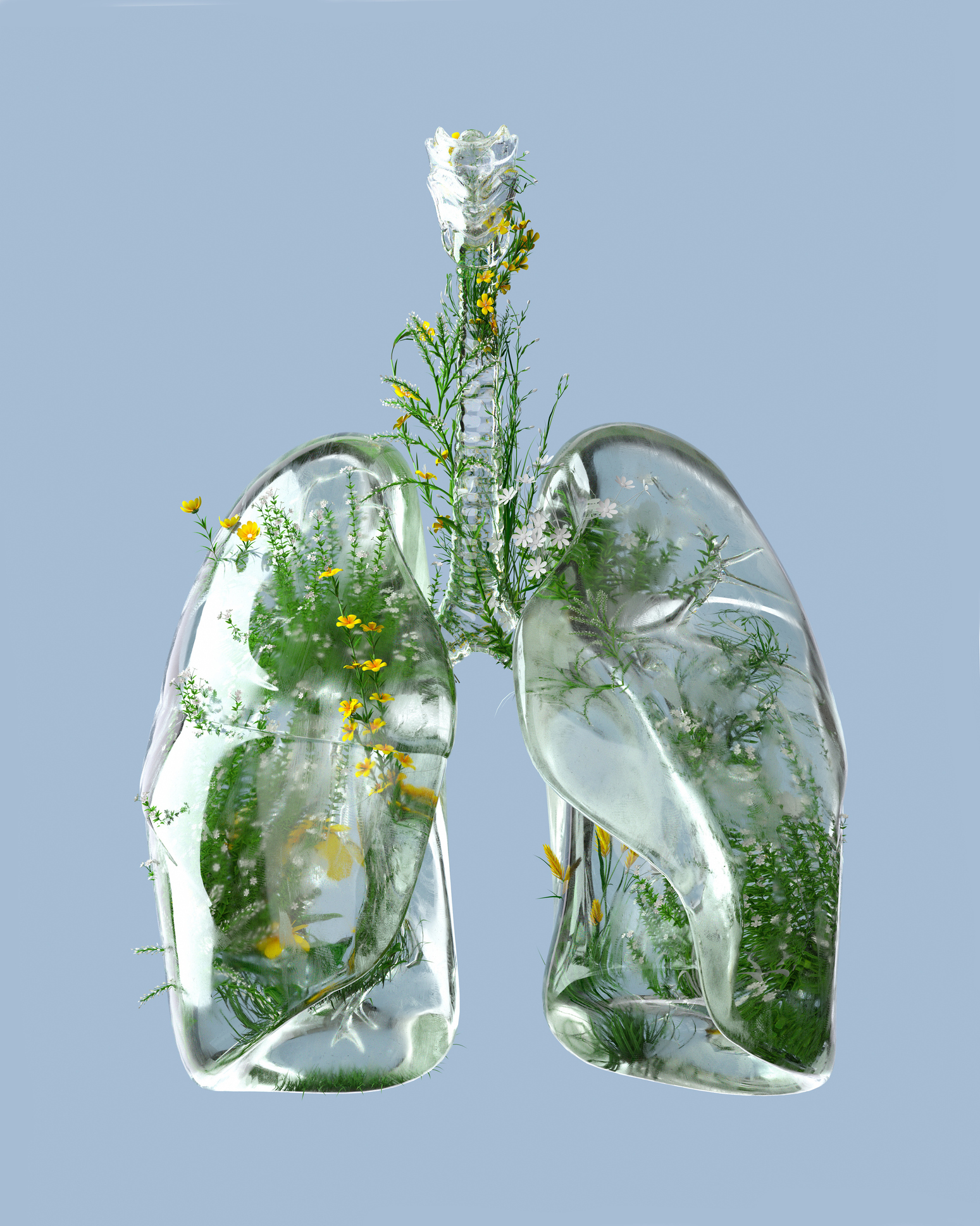 Green Lungs