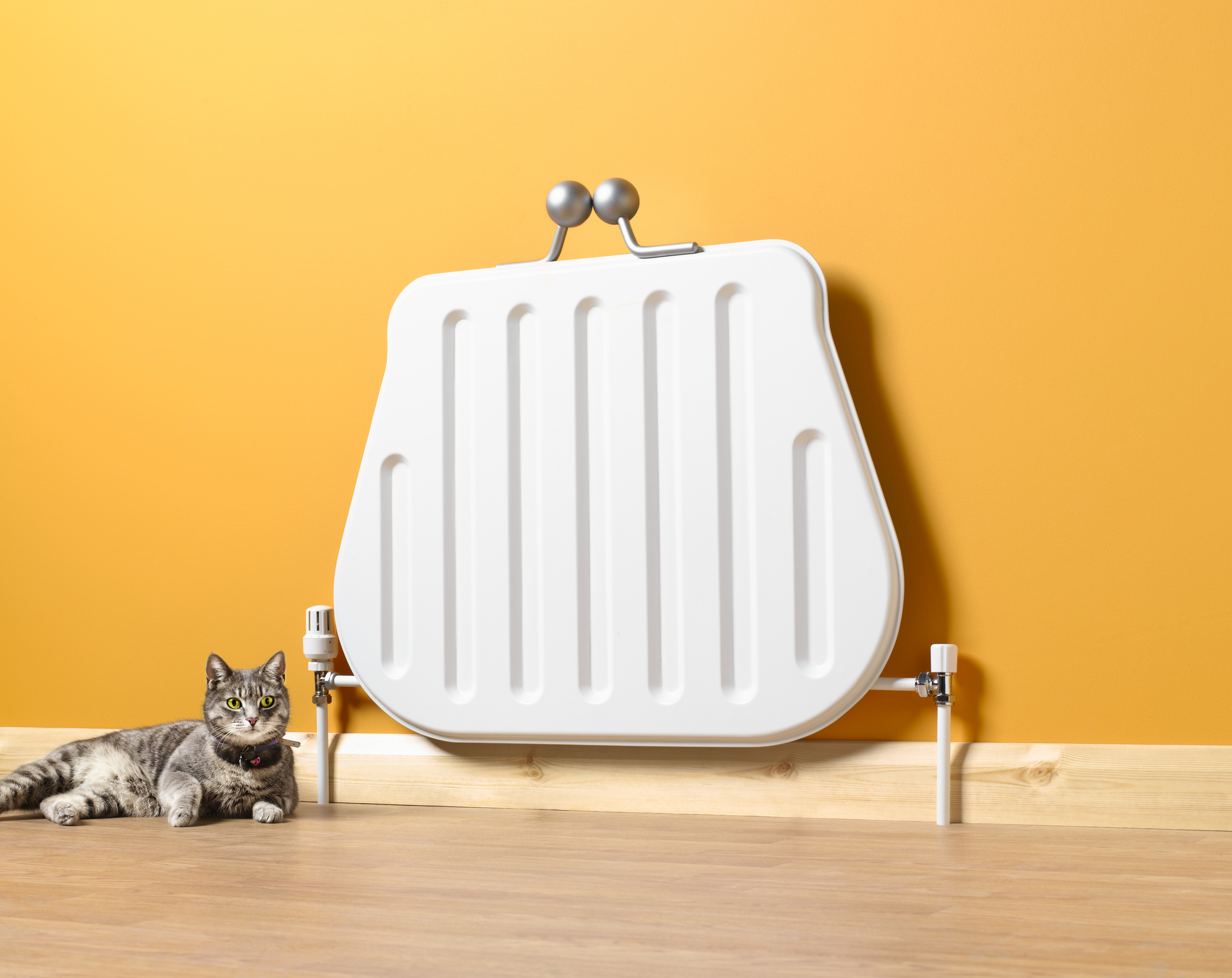 Purse shaped radiator with cat.