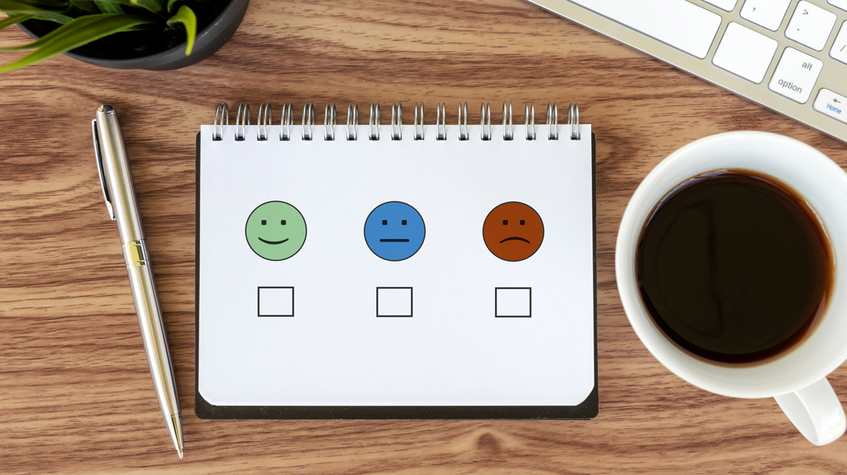 Survey Feedback