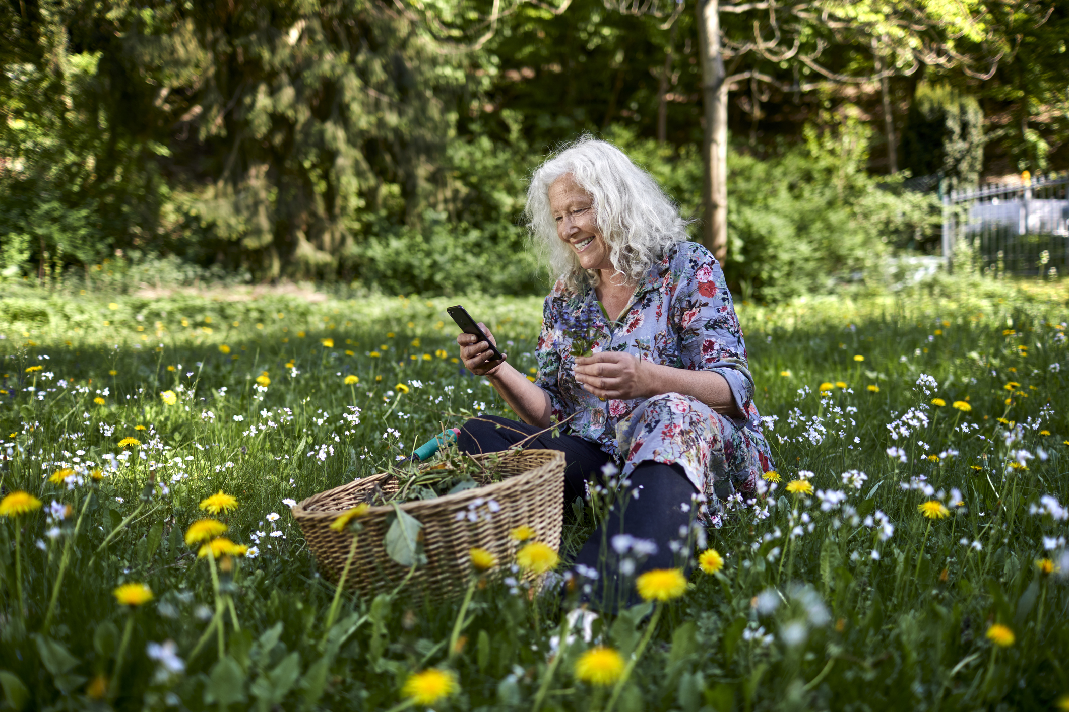 Smiling senior woman sitting in meadow in garden holding smartphone and flower