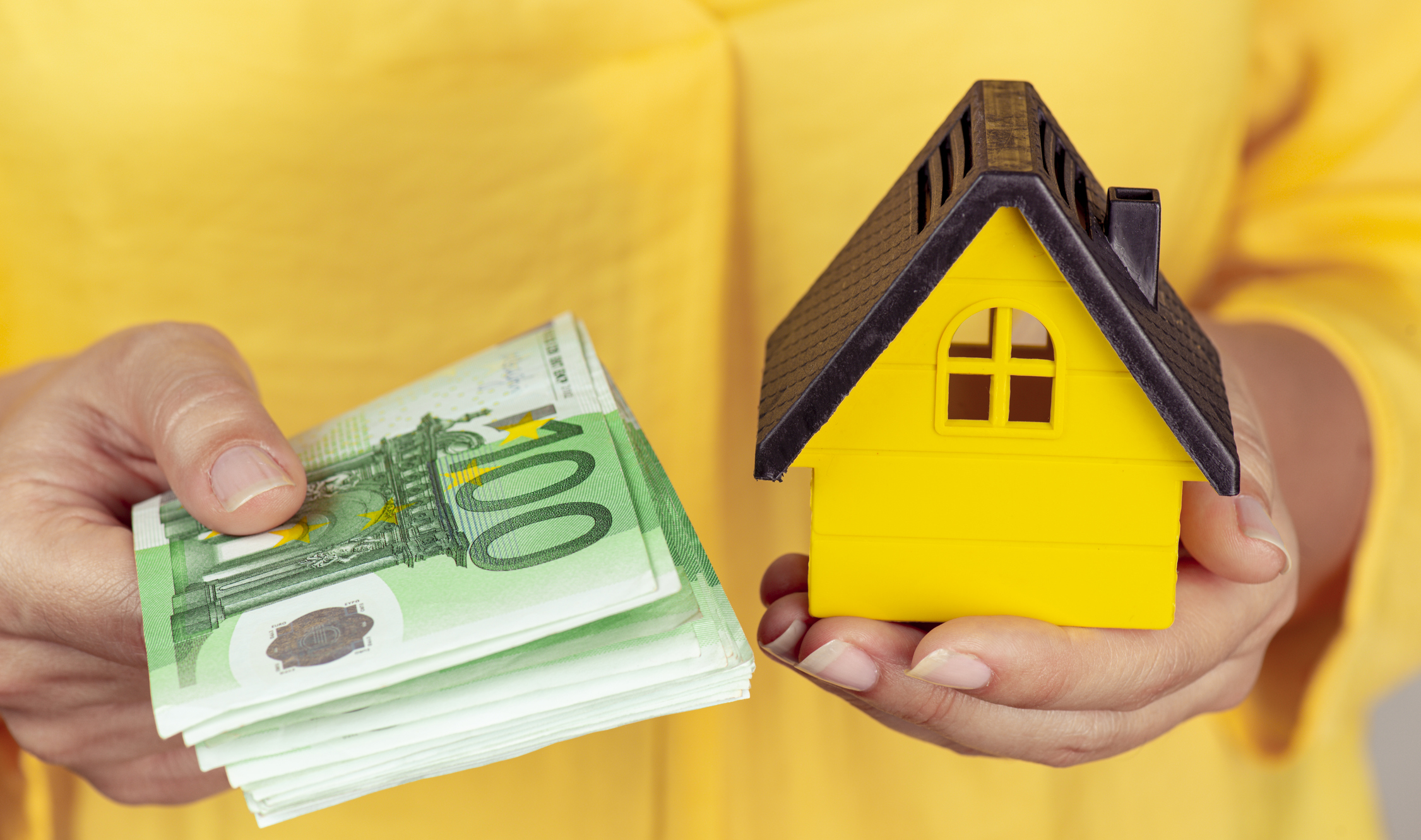 Woman Holding Euro And Model House