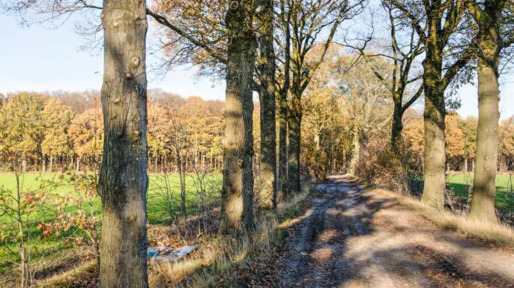 routegids-nb-bossen-en-hoogveen-zuidwest-brabant_1_goed
