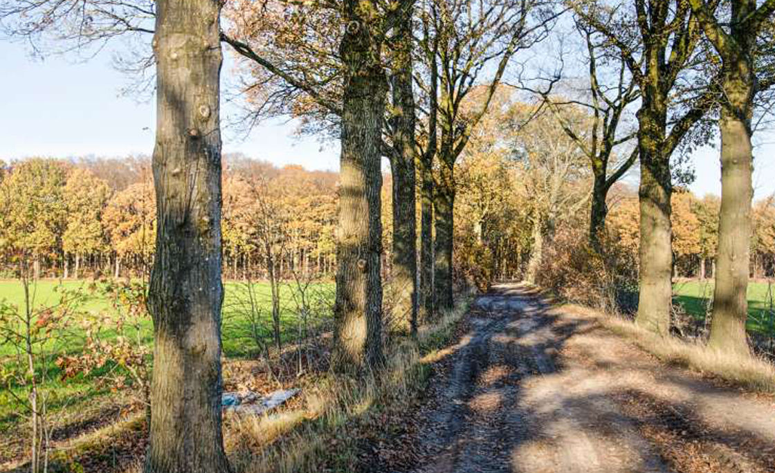 routegids-nb-bossen-en-hoogveen-zuidwest-brabant_1_goed