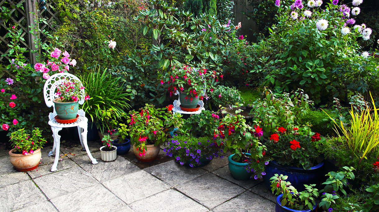 October English garden still full of flowers.