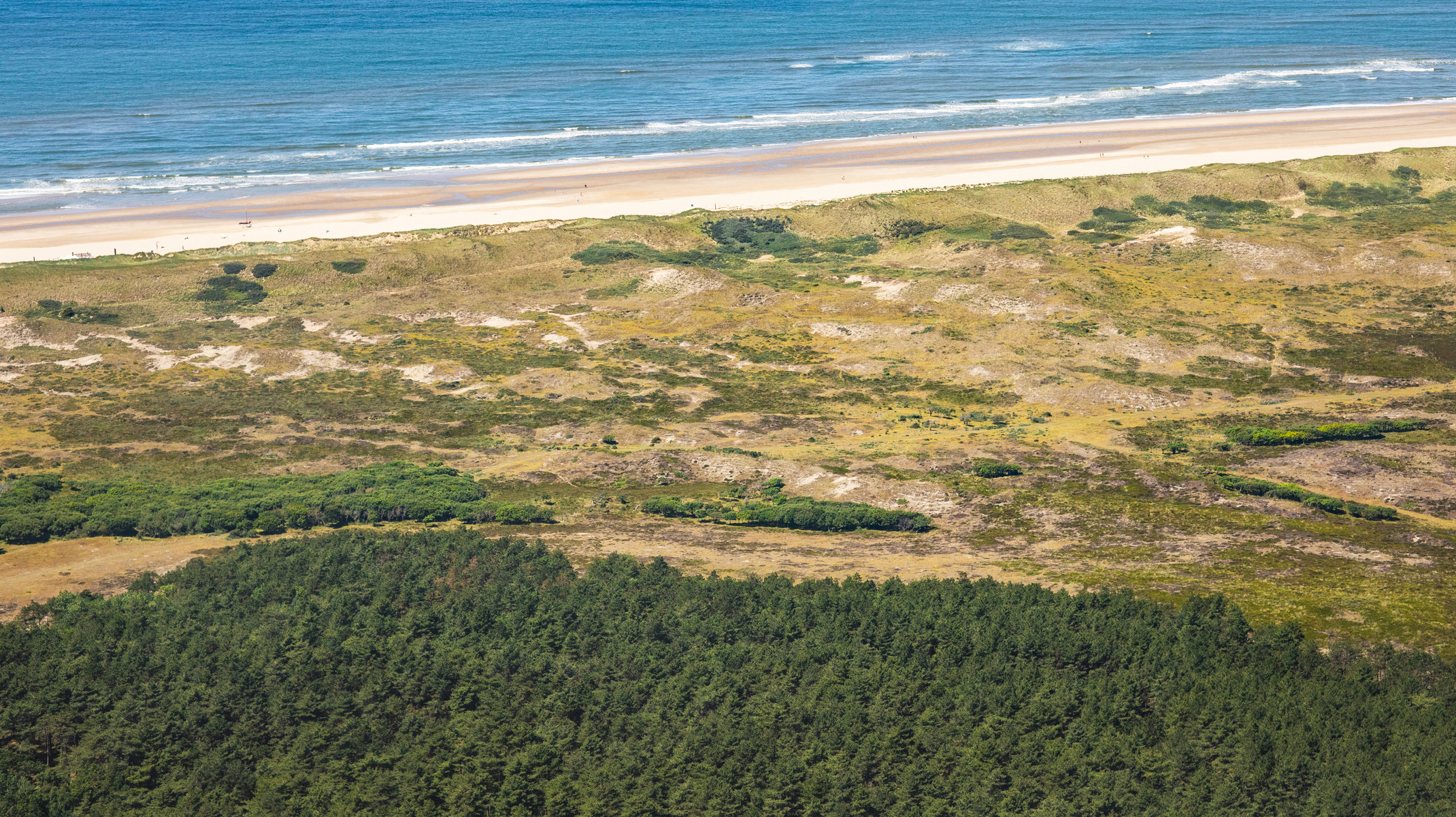Aerial of beach and dunes at Schoorlse Duinen national park