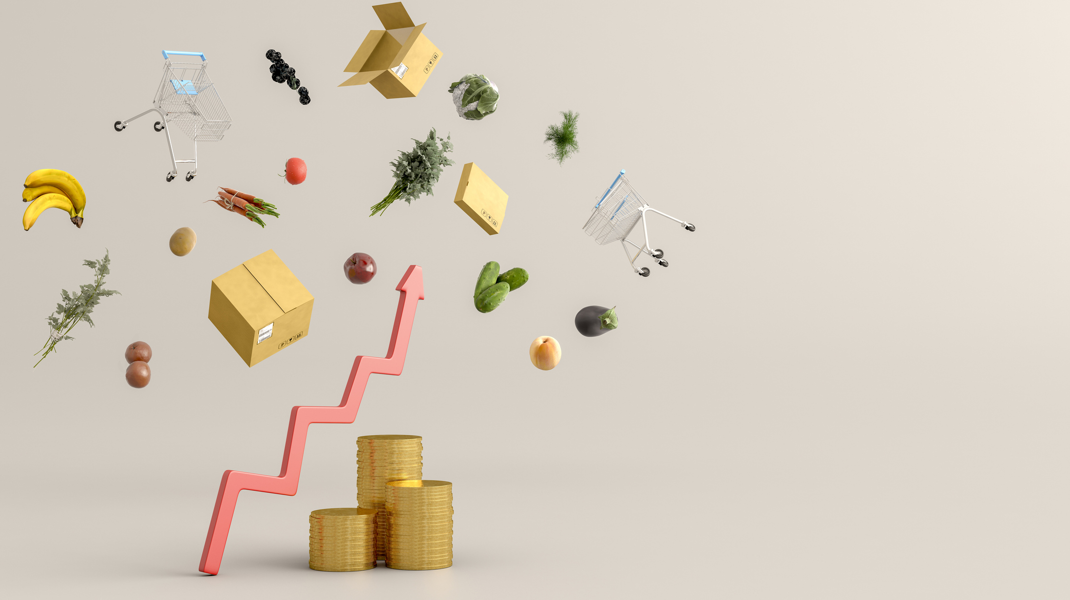 Inflation Concept
