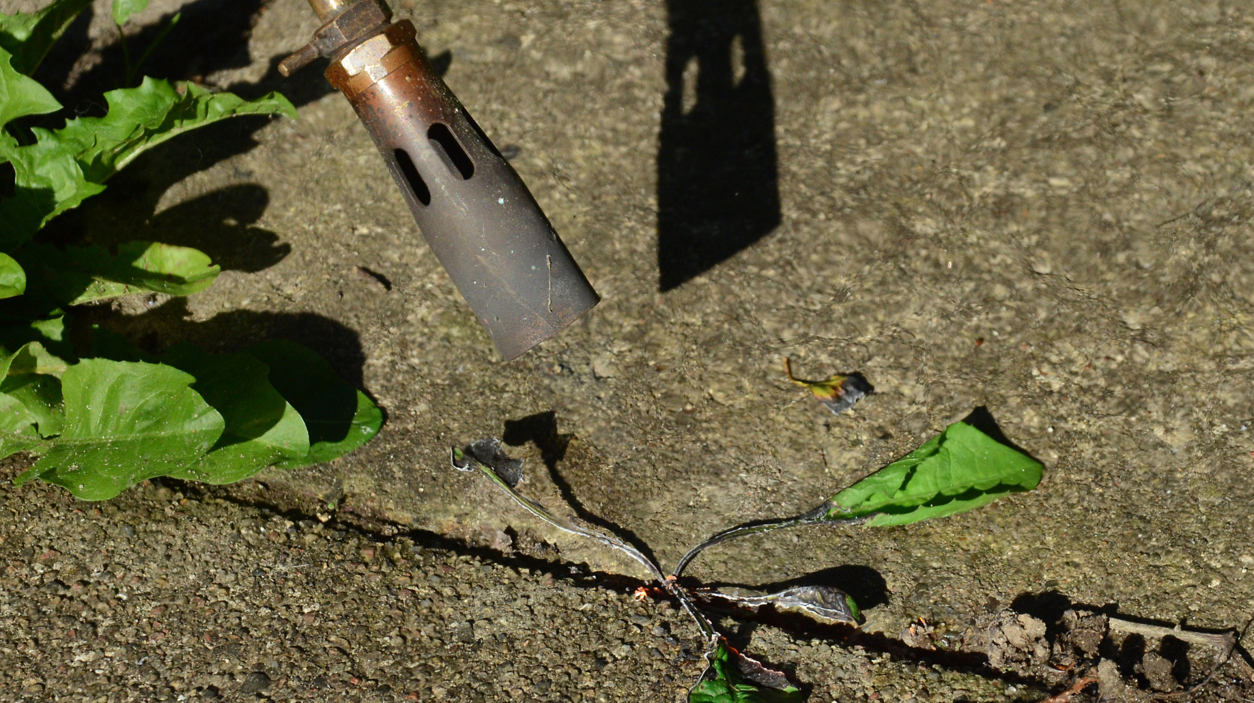 Weed Torch