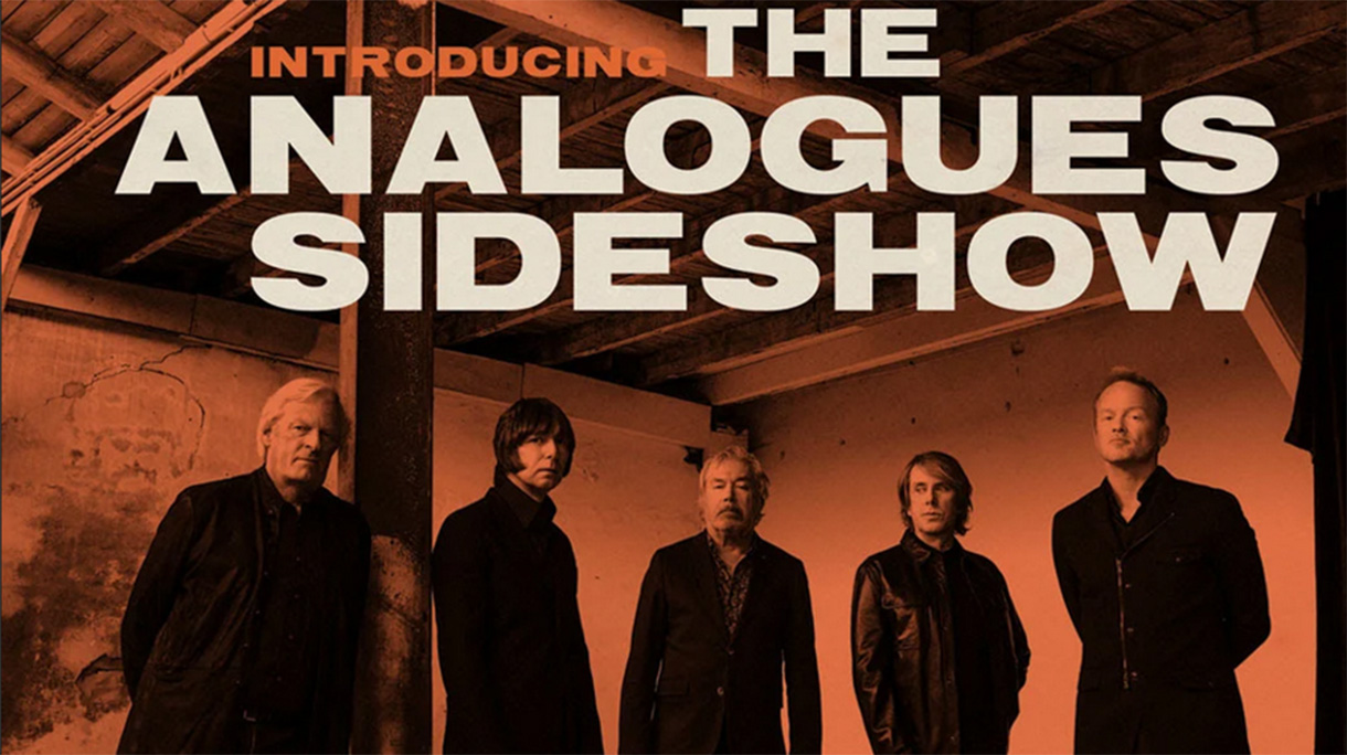 analogues