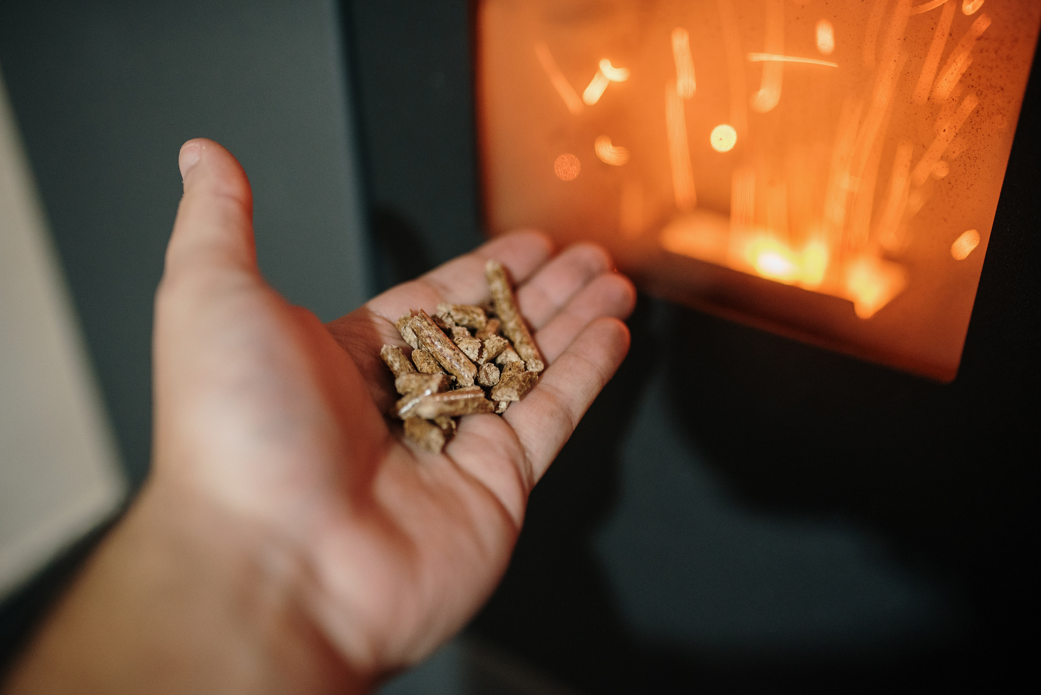Pellet / Biomass heating – Human hand holding biomass pellets