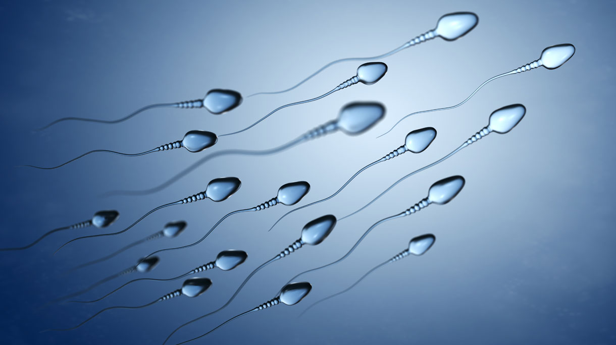 sperma