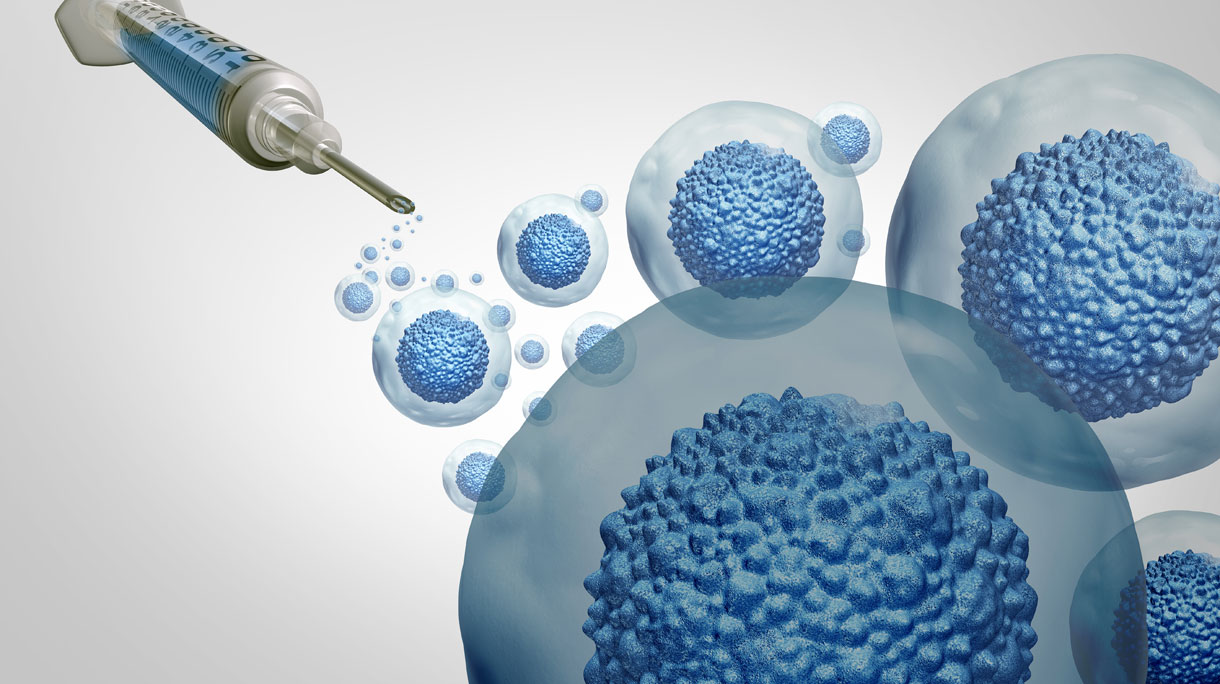 Stamceltransplantatie