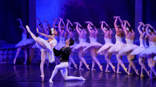 Balletdansers Zwanenmeer