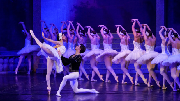 Balletdansers Zwanenmeer