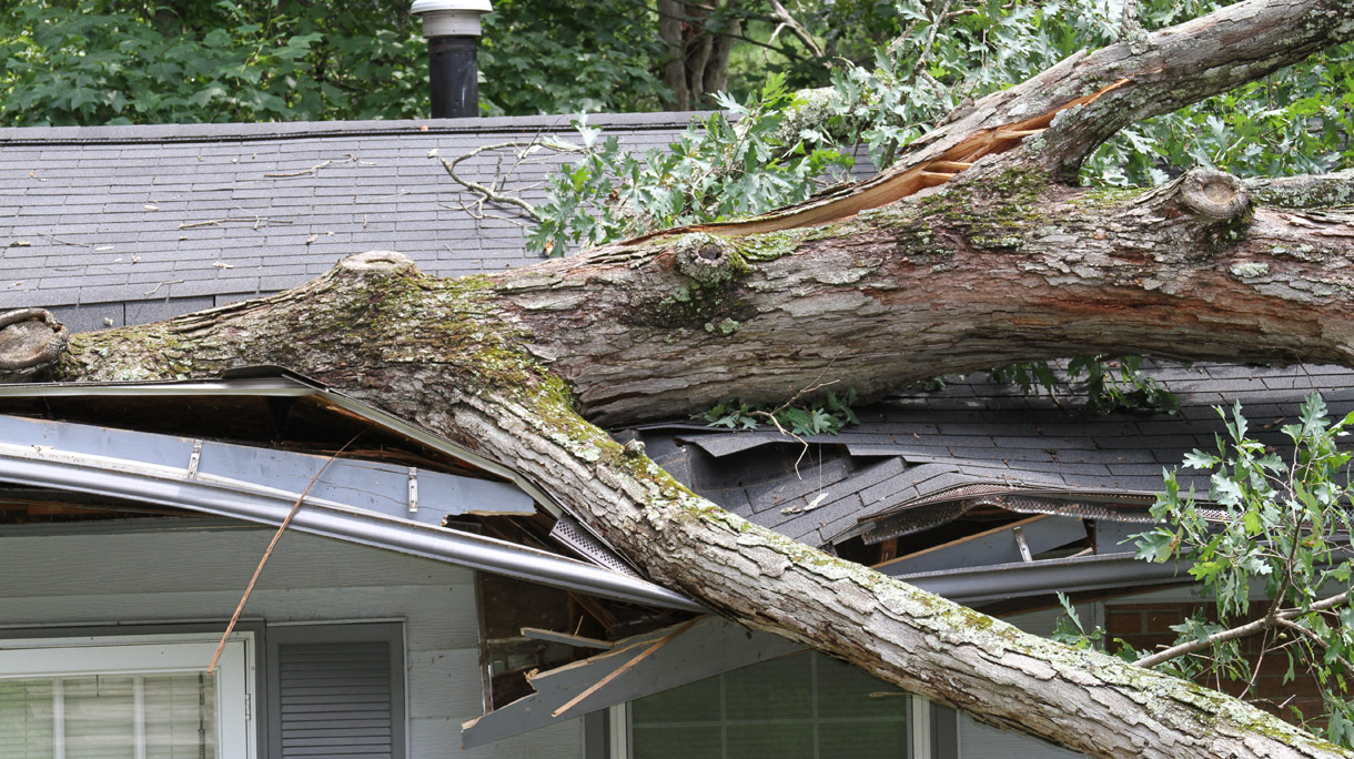 Stormschade