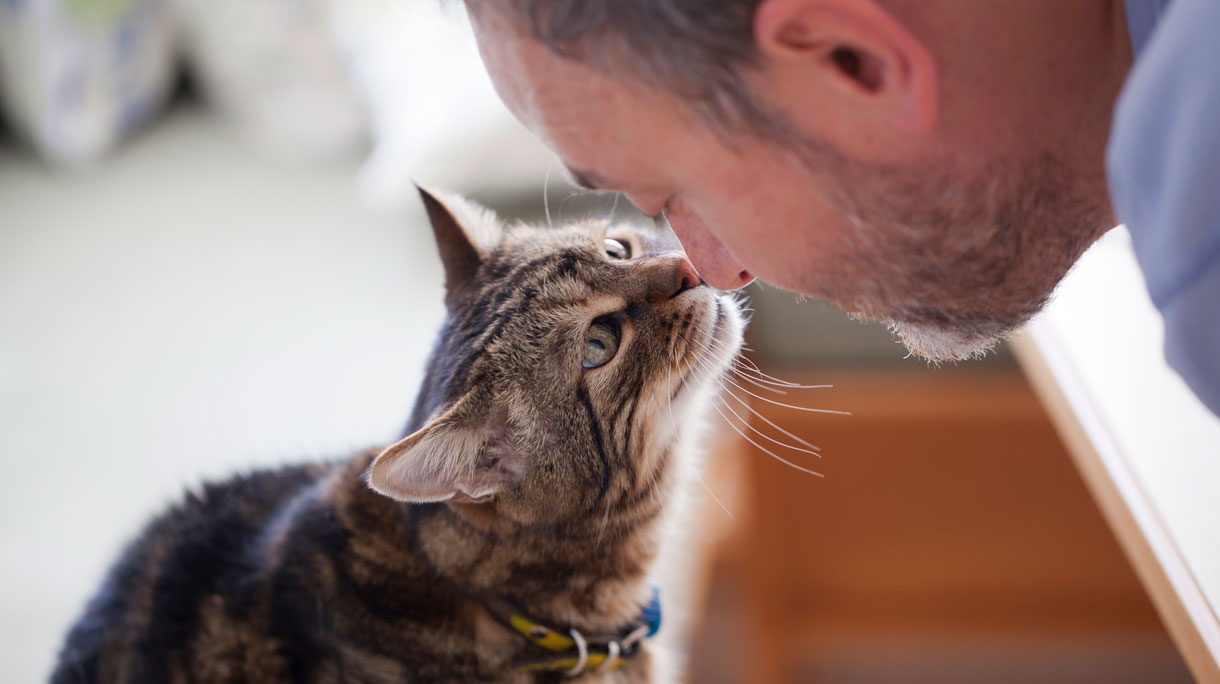 Gps-tracker voor kat