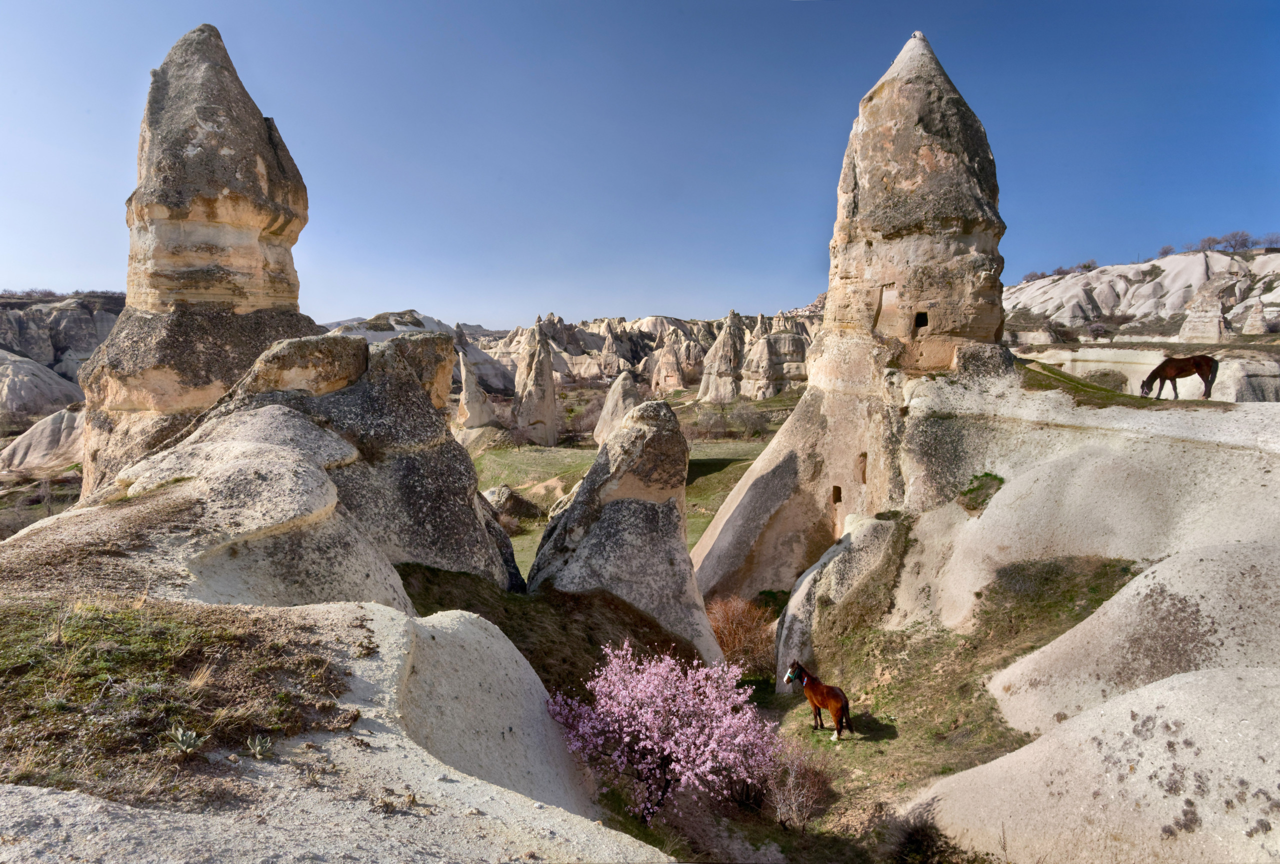 Cappadocie