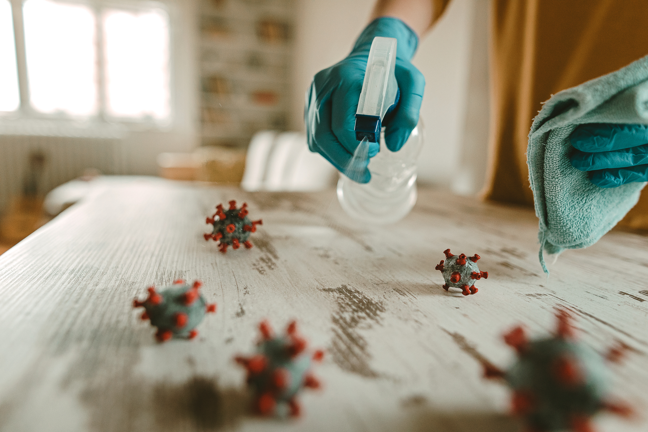 Bacteriën in huis