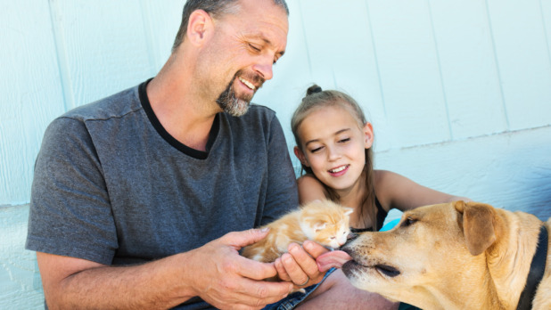 Dieren hond kat huisdier