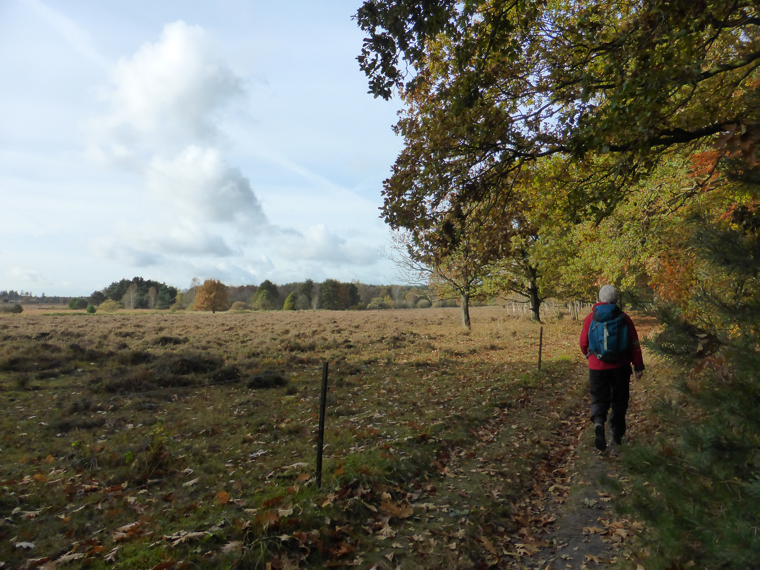 Trage-Tocht-Spier3