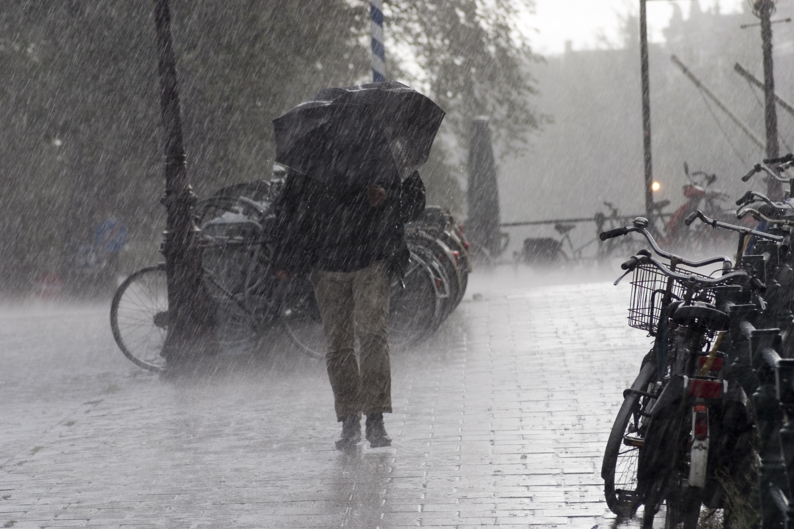 Stormschade