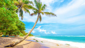 Tropical Island