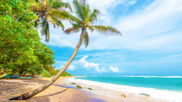 Tropical Island