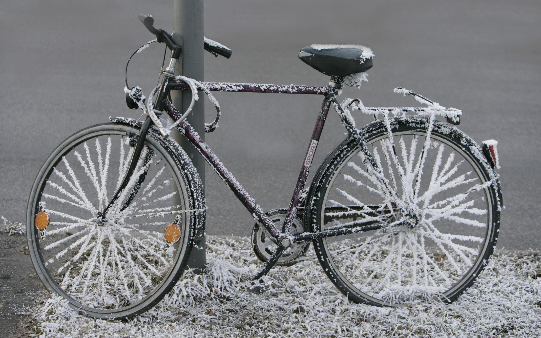 bevroren fiets