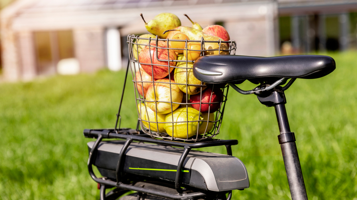 pol-e-bike-fruit