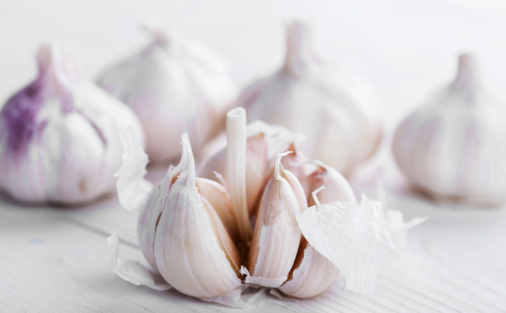 istock_000060999998_large_0