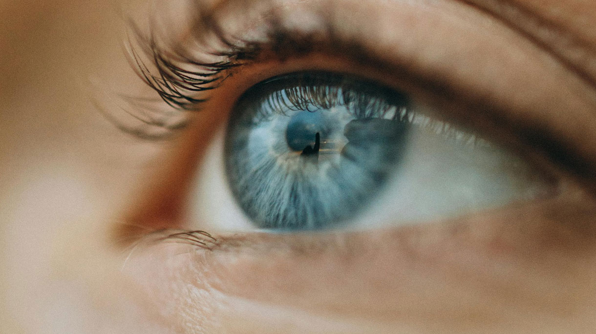 close up van oog