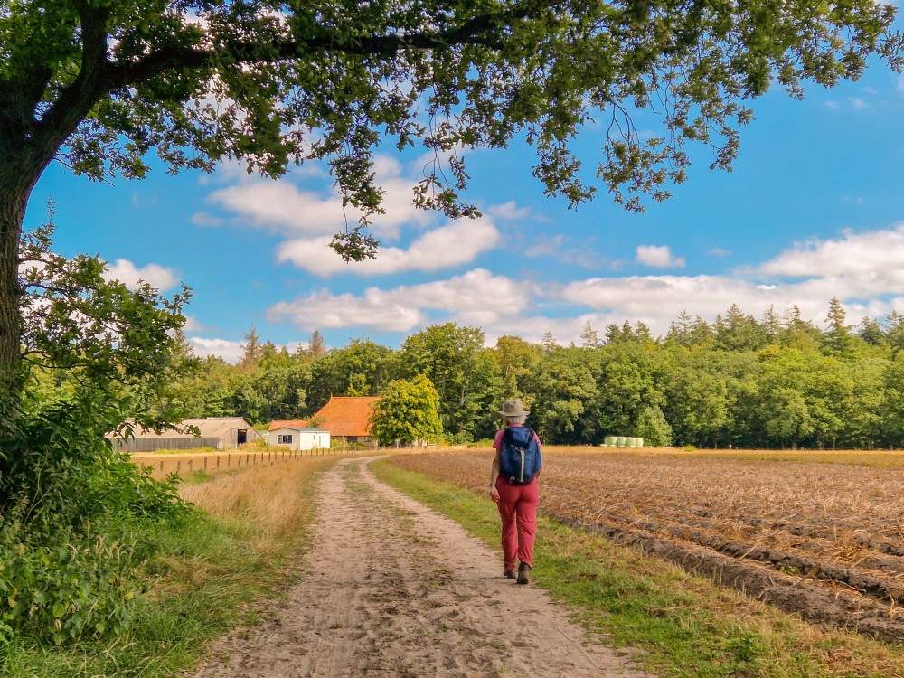 Mirnser Klif