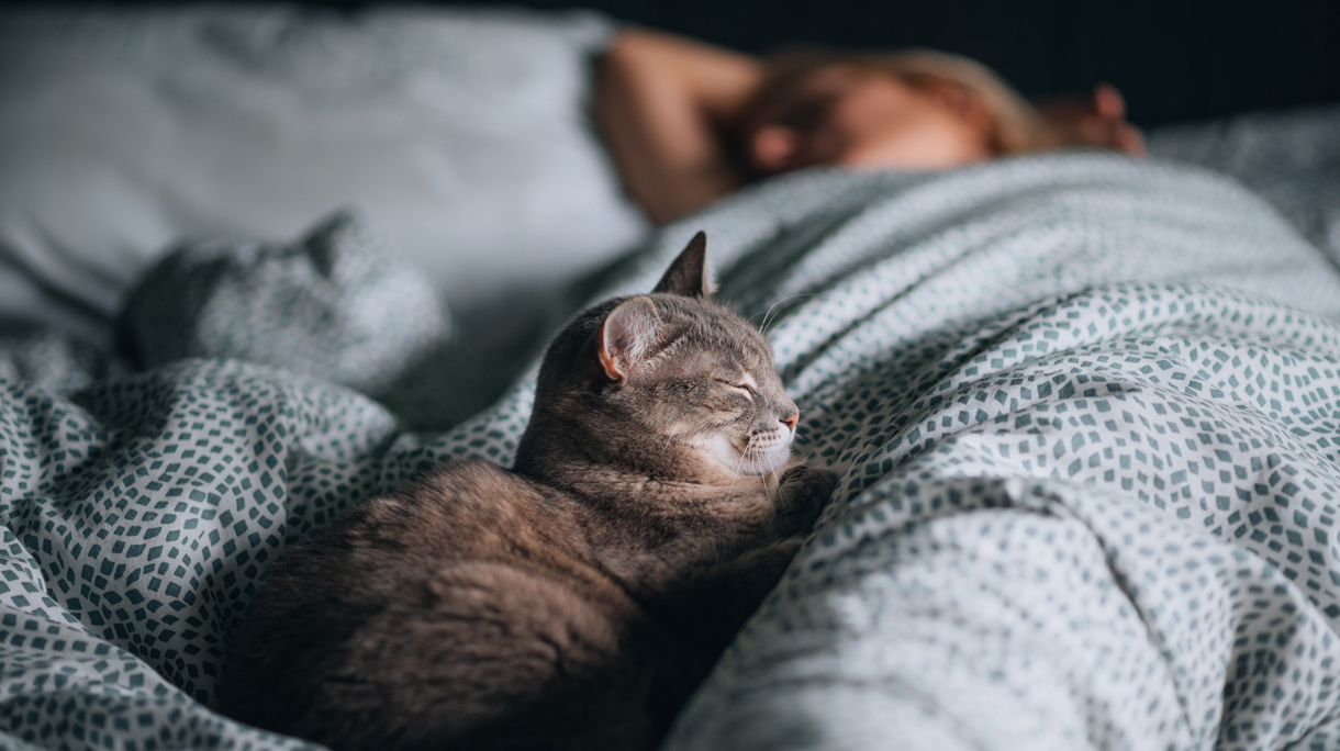 vrouw slaapt met kat