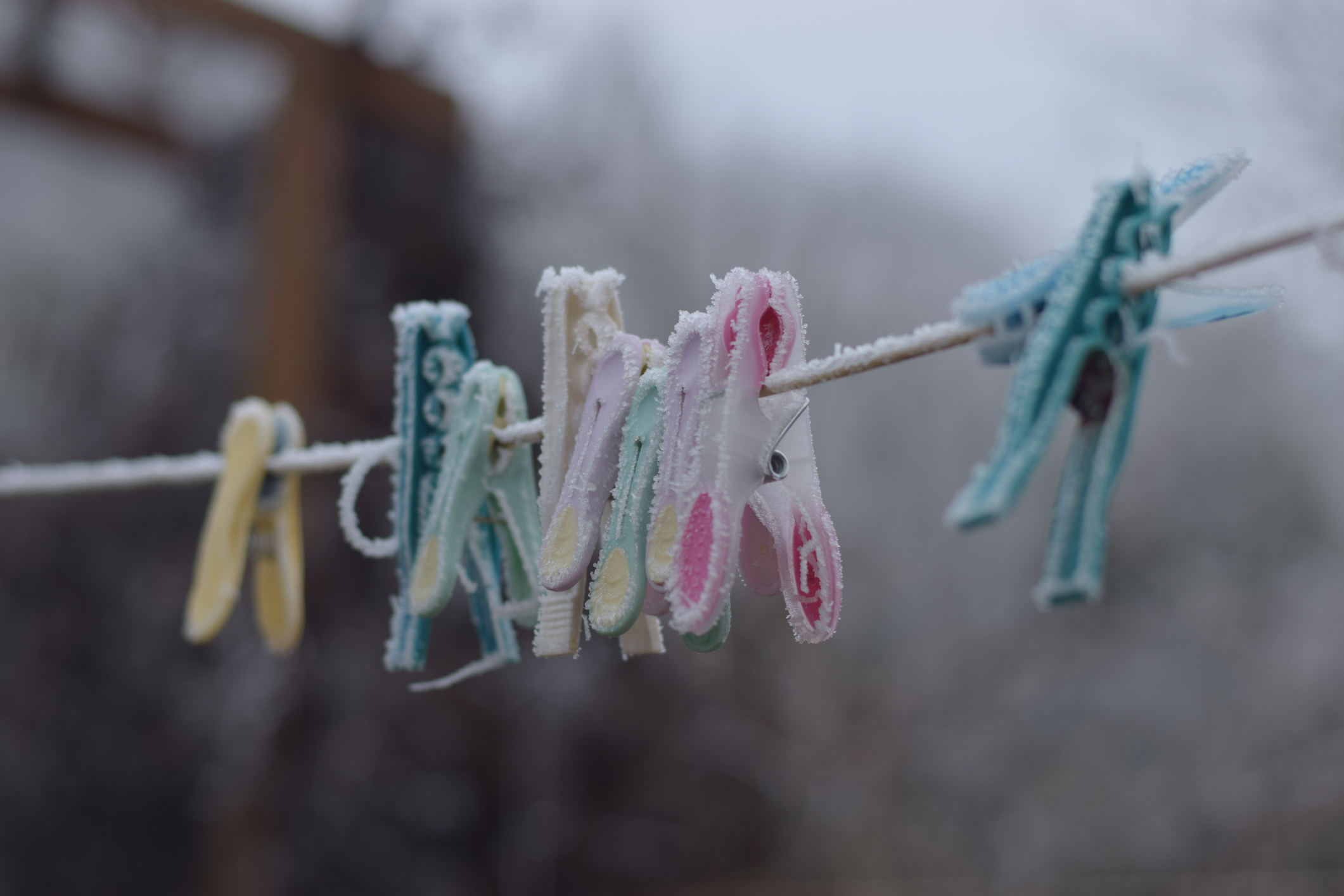Frozen clothespins (pegs) during a cold winter day