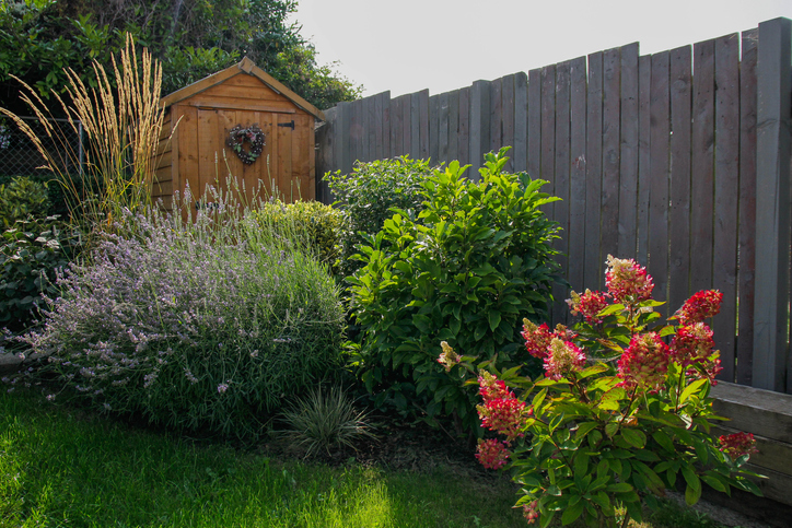 Een tuin vol met struiken en bomen