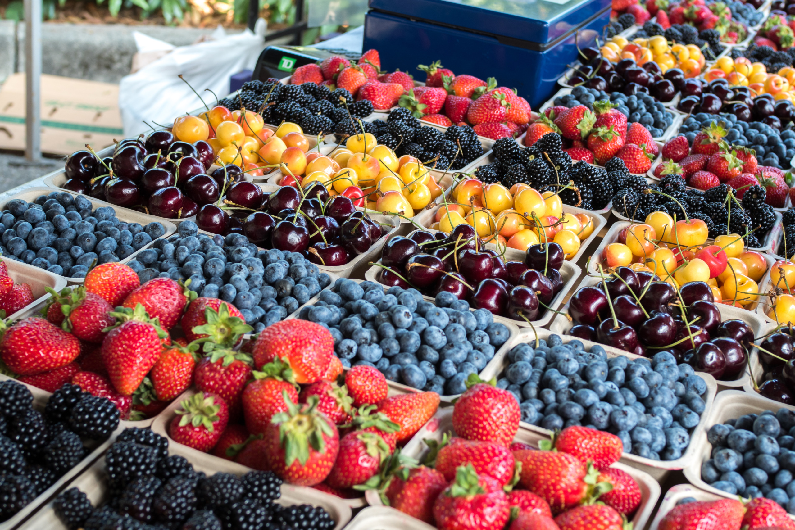 Verschillende soorten fruit