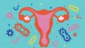 Vaginale microbioom