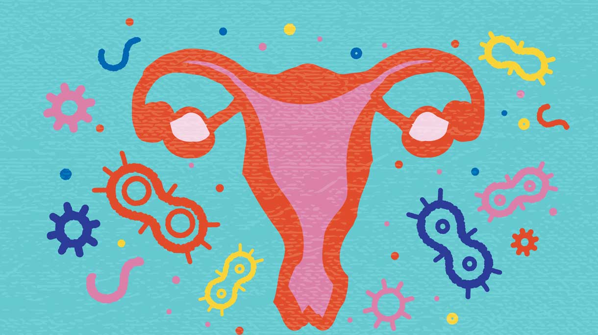 Vaginale microbioom