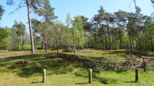 natuurbegraafplaats