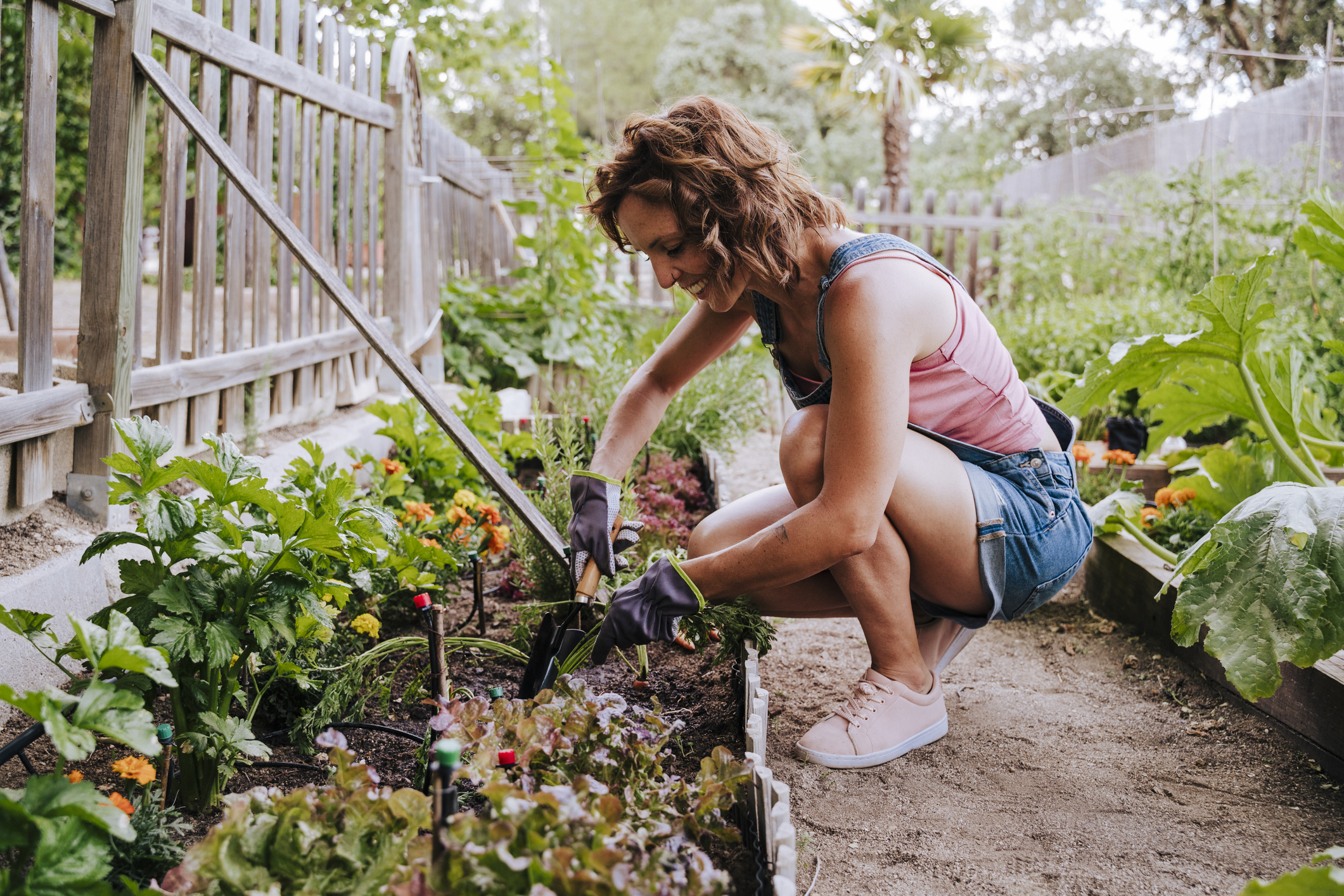 Vrouw is bezig met moestuin