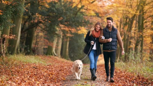 stel loopt in de herfst in bos met hond