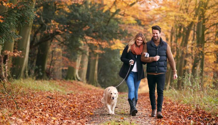 stel loopt in de herfst in bos met hond