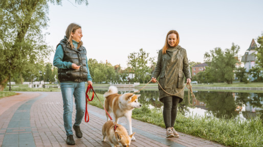 Twee vrouwen ontmoeten elkaar op straat tijdens het honden uitlaten