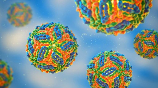 Westnijlvirus