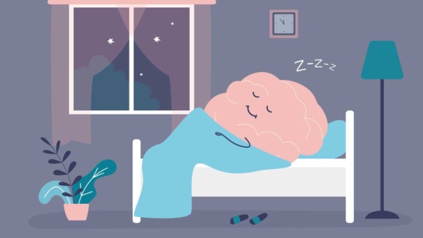 Hersenen in een bed