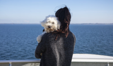 Hond kijkt over de schouder van eigenaresse aan zee