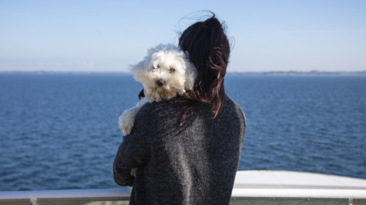 Hond kijkt over de schouder van eigenaresse aan zee