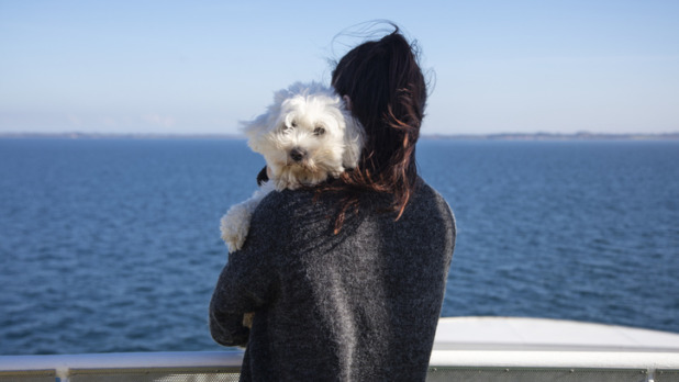 Hond kijkt over de schouder van eigenaresse aan zee